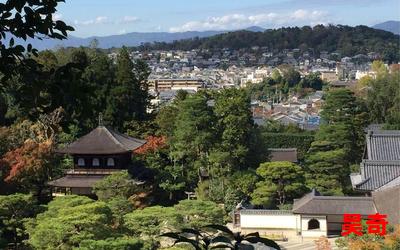 京都城最新章节 - 京都城免费阅读