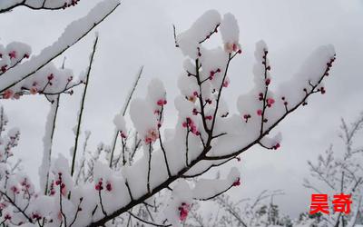 遥知不是雪为有暗香来-遥知不是雪为有暗香来全文免费阅读无弹窗